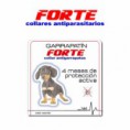 Collar garrapatas
